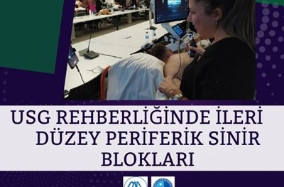 USG Rehberliğinde İleri Düzey Periferik Sinir Blokları